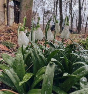 ����� � ������