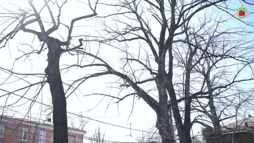 �� ������������ ������������ ���������� ������� ��������, ���������� ������������ �������