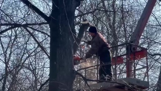 � ����������� ����� �������� � ������ ��. �. �. ���������� ������� �������� ������ �� ����� ����� ��������� ��������