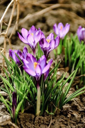 ������ ����, �����������!�