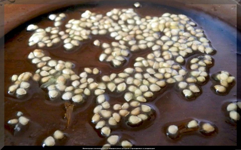 Как замачивание семян меняет ваши урожаи: секреты успешной подготовки