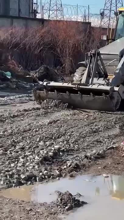 ������������������ ������ ������ ������� �� ��������� ��������