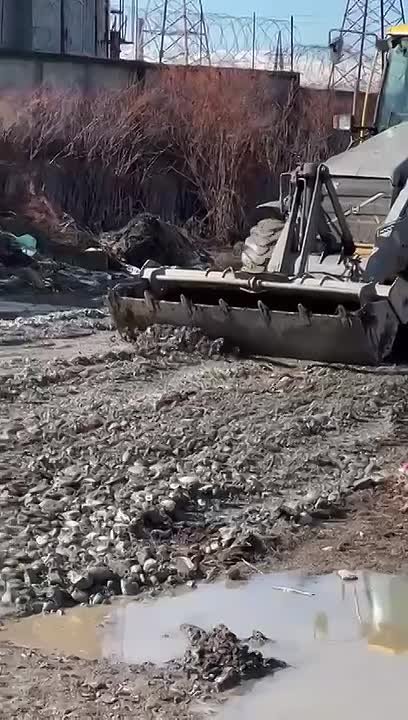 Специализированные службы навели порядок на Восточном кладбище