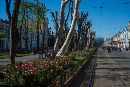 В 2025 году в финансовых организациях Северной Осетии обнаружили 21 поддельную российскую банкноту на сумму 76,6 тысячи рублей и пять поддельных банкнот номиналом 100 долларов США