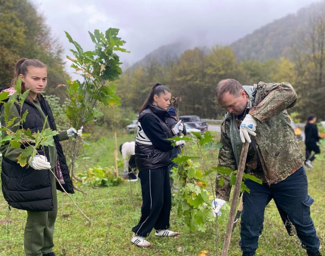 65 тыс. деревьев планируют вы садить в 2026 году в Северной Осетии 65 тыс. деревьев планируют вы садить в 2026 году в Северной Осетии