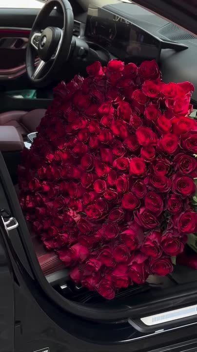 ������ ����, ������!. �� ������������ ��������� �������� ������, ����������� ������� 65%