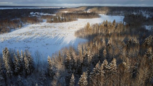 ������� ������������� ������������ � �������� ������������