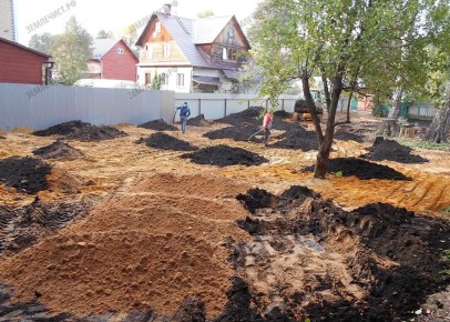 Как использовать песок в огороде и какие цветы на нем растут?