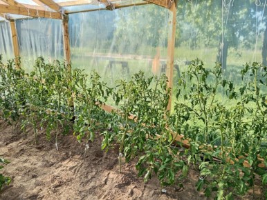 ��� ��������� ������������� ������ � ���� ��� �������� ������