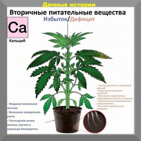 ��� ��������� ���������� �������� ����� � ������� � ���������