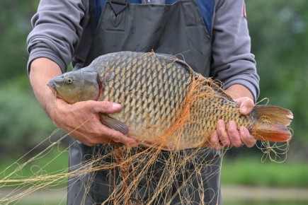 ������� ������������� �������� ����: ��� ��������� ���� �� ����