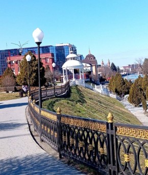 ���� �. �����������. � ������� - ���� ���