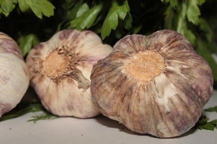 ������: 5 ���������� ���������, � ������� �� �� �����