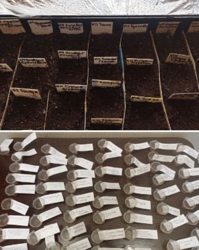 ��� ���������� ������������ ����� ��� �������: ������ ���������