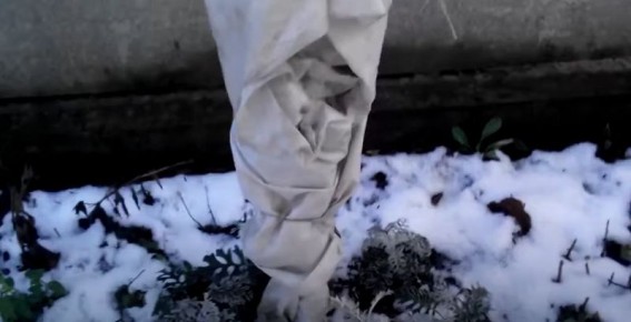 ��� ��������� ������ �����: ������ ���������