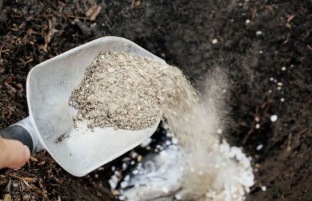 ������������ �����: ��� ������������ ��������� ���� ������ � ������������ �������