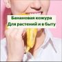 Неизведанные возможности банановой кожуры в вашем доме и саду