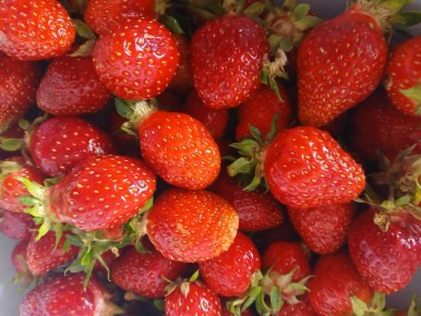 Летние десерты: простые рецепты клубничной шарлотки и заливного пирога