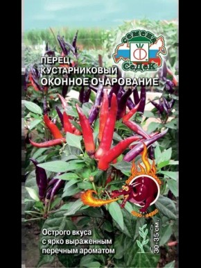 ���������� �����������: ���������� ����� ��� ���������� ��������������