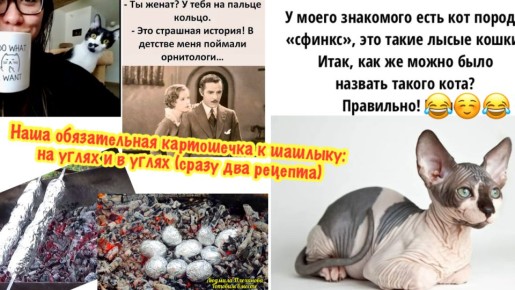 ��� ����������� �������� �� �����: ��� ������������ ������� ��� �������