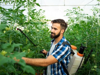 ��� ������� ������� ����� �������� ������ �� ������