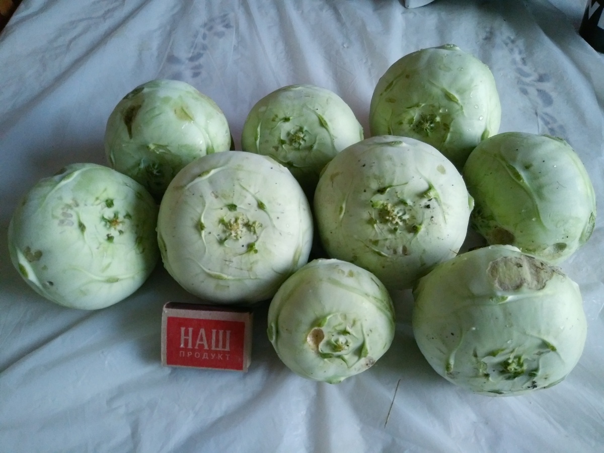 Весенние итоги: цветы и невзгоды в саду