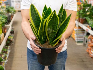 ����������� � �����: ��� ��� ������ ��������� ������ ����