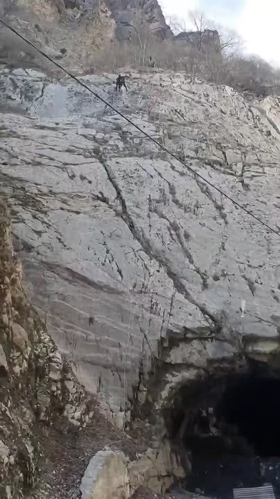 � ������������ ������ �������� ��������� ������������������ �����