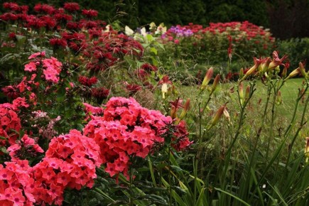 ������� ���� � ����� ����: ��� ������� ��������� ������