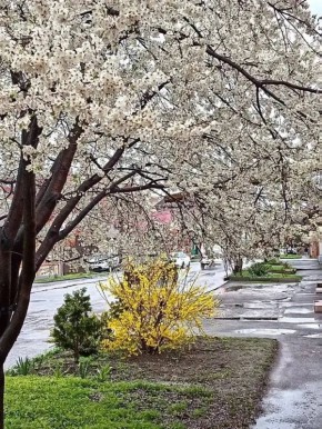 Фото Т. Шеходановой. Порой нам просто жизненно необходимо сделать паузу и забыть обо всех заботах, чтобы с удивлением заметить, в каком прекрасном и уютном мире мы живём