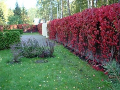 ��� �������� ���� ����� ������: 20 �������� ��������� �������