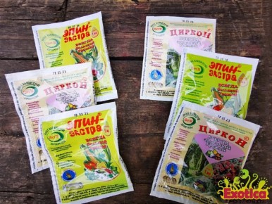 ������ � ����: �������, ������� ����� �������� ��� ����� ��������