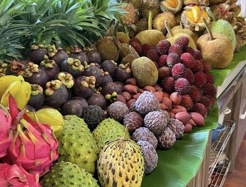 Еда в джунглях: как выжить и чего избегать