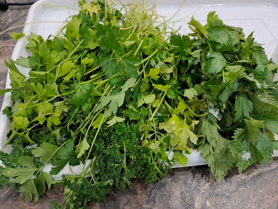 ������� ����-���: ��� �������� ������ ������ ���� �����