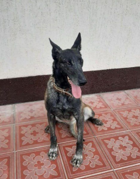 ��������� ������ ������� ����������� ������������ ������ ������� ���� �������� ��������������� ��������