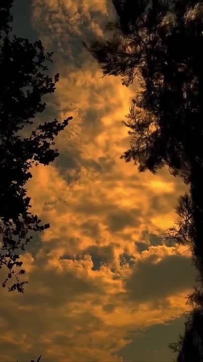 ������ ����, ������!. �� ������������ ��������� �������� ������, ����������� ������� 35% ����������� +6� +13� �15-� ������� ������ ���� ����������� ��� � ������������ ������� ������ ! @region15_ru