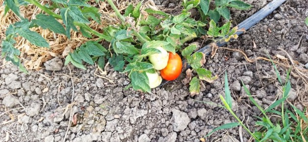 ��� ��������� �� �������� � �������: ��� ��������� � ����������� ���������