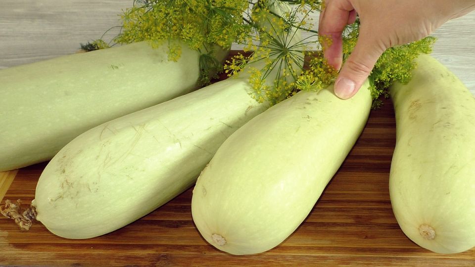 ������ ����������: ������� ������� � �������� ��������� � ������