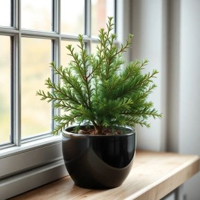 ������������ � �������� ��������: ��� ��������� � ����� �� �����