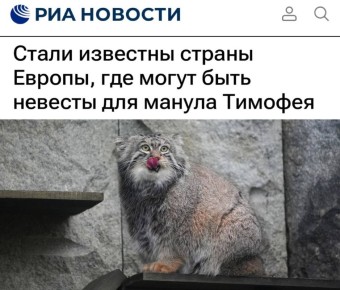 ������ �������� ������ ������, ��� ����� ���� ������� ��� ������ ��������: � ������ � ����������� ��������� ���� 31 ������������� �������