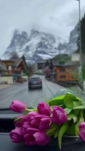 ������ ����, ������!. �� ������������ ��������� �������� ������, ����������� ������� 35% ����������� +4� +8� �15-� ������� ������ ���� ����������� ��� � ������������ ������� ������ ! @region15_ru