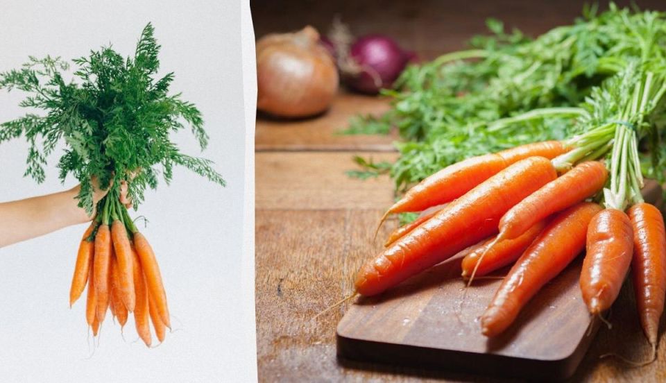 ��� ��������� ������� ������ �� 10 ����: ������� ������ �� ��������