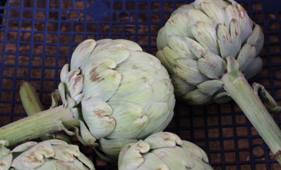 ������ ��� �������� ����� �������� ��������� �� �������