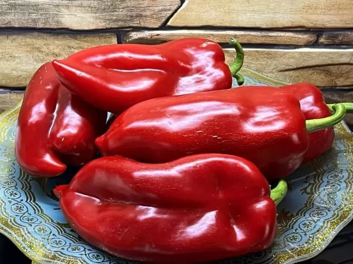 Перец Любимчик: идеальный выбор для урожайного сезона в теплицах