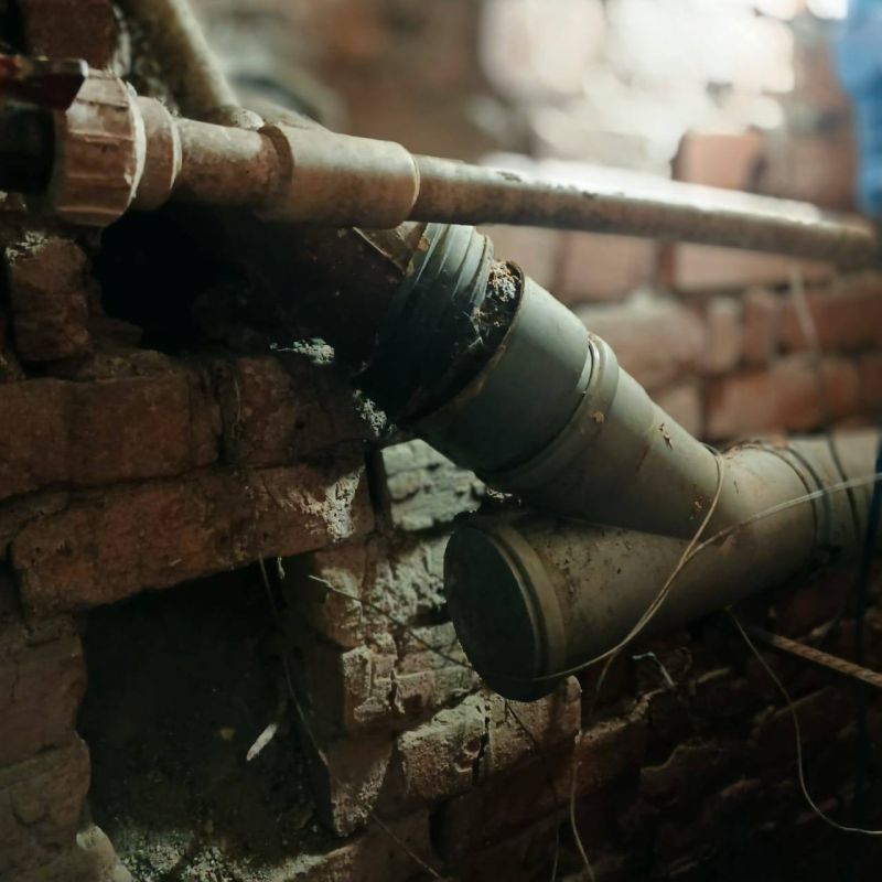 � ������ ���� ���� "��������������" ���������� ����� 100 ������