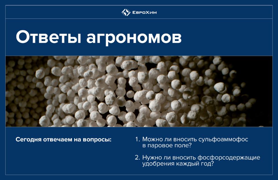 ��� ��������� ������� ��������� ���������: ������ �� ���������