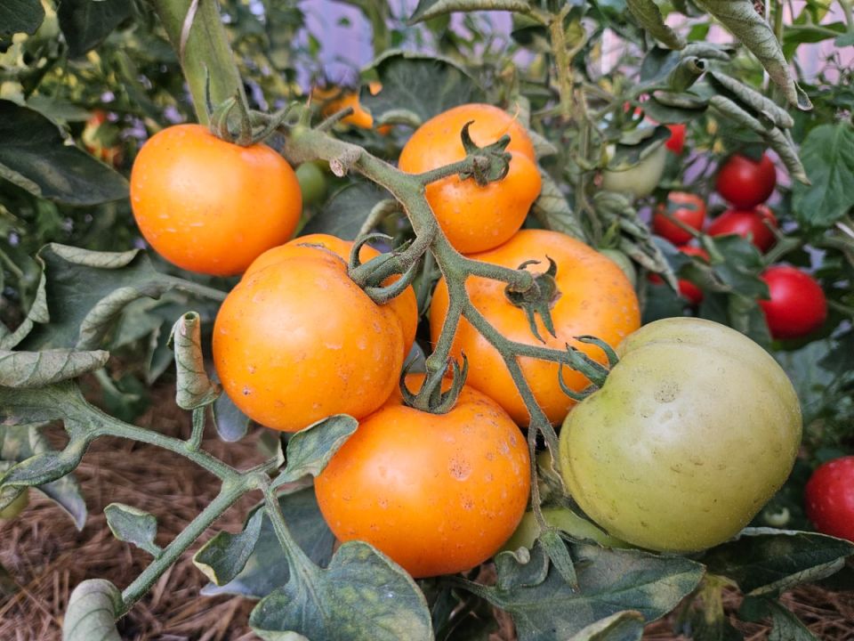 ������ ���������� � �������: 5 ��������� ��� ����������� ������ � 2025 ����