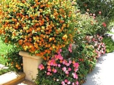 �������������� ����: �������� ������ ����������� ����� ��� ��������� ����