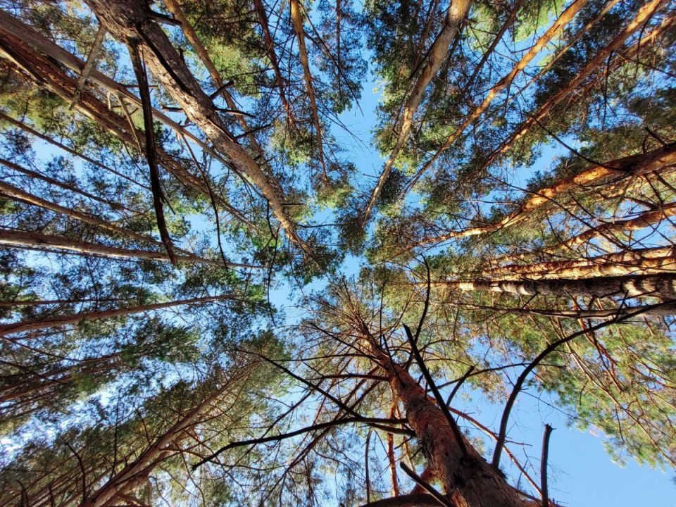 ��� ����� ��������� ���������: ������ �� ���������� � ��������� �� ������ �������������� �������� � ����