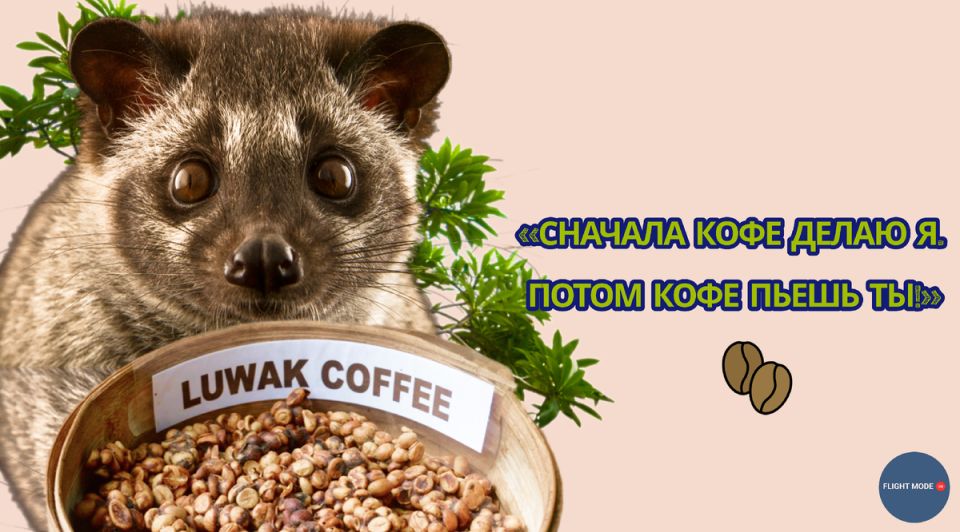 ��������� �������� �� �����������: ��� �������� ����� ��������������?